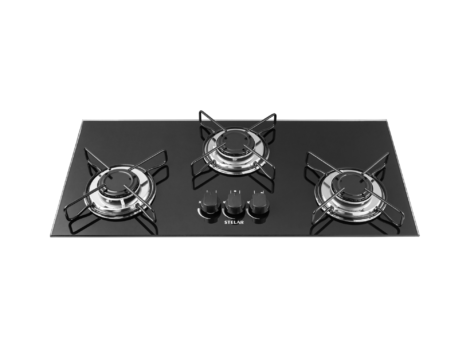 frontal_principal_nivus3